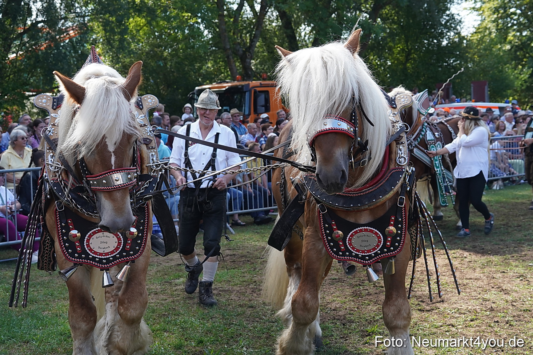 Pferde und Fohlenschau 2022 0194 